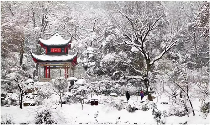 萬里長(zhǎng)空飛瑞雪 ——遠(yuǎn)景智庫(kù)2019新年賀詞